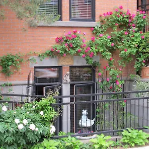  Homestay A Gem Downtown Canada